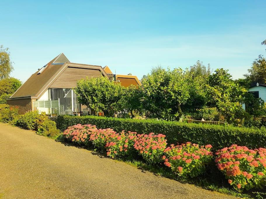 Appartamento Lovely House Till 6 P. Near Amsterdam, Sea Opmeer Esterno foto